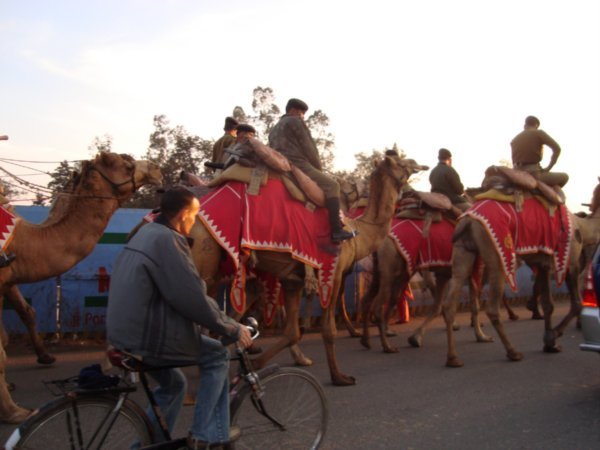 Police on camels