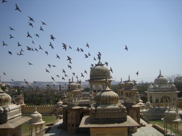 Palacio abandonado en Jaipur