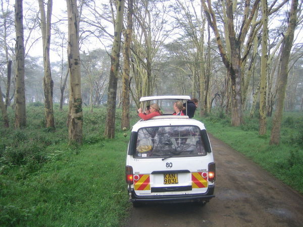 Combi Safari