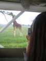 Louise fotografiando jirafa