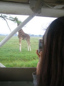Louise fotografiando jirafa
