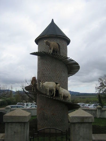 La torre de las cabras....!