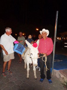 the donkey of the fiesta