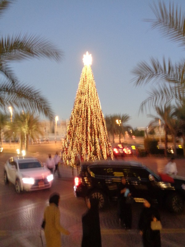 Tree at the souk