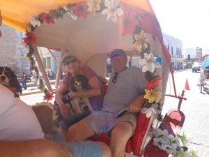 Our carriage ride