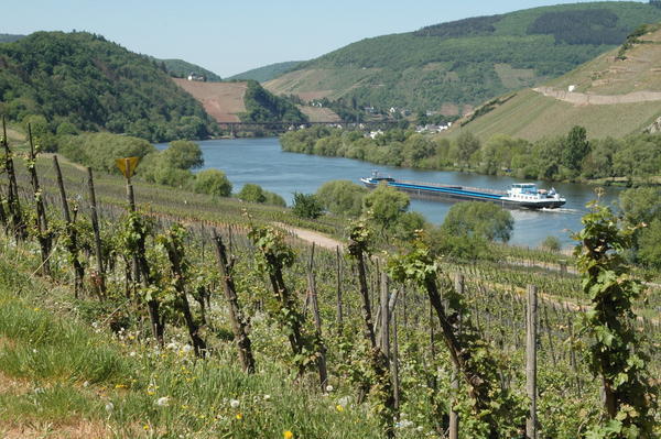 barge on moselle river