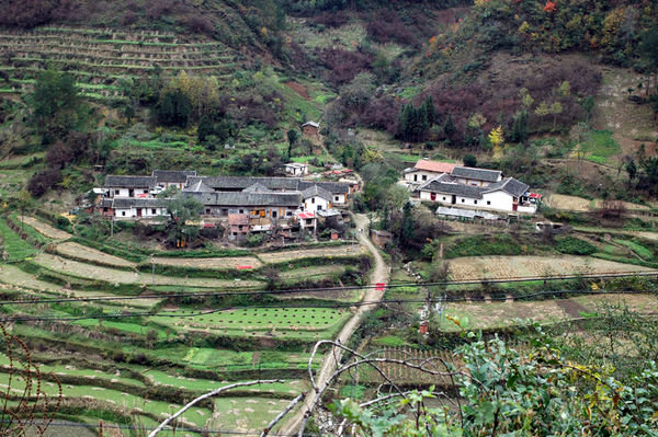 Village with rice paddies