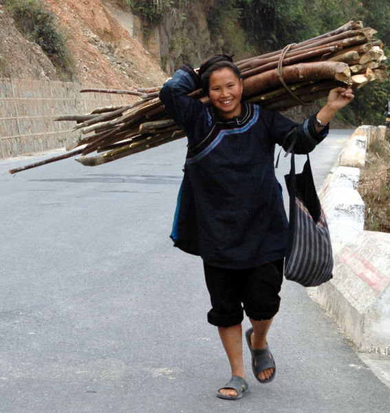 Lady carrying wood