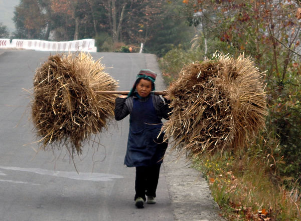 no doubt she has been carrying loads like this all her life