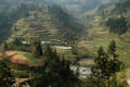 Terraced rice paddies, a feat of engineering