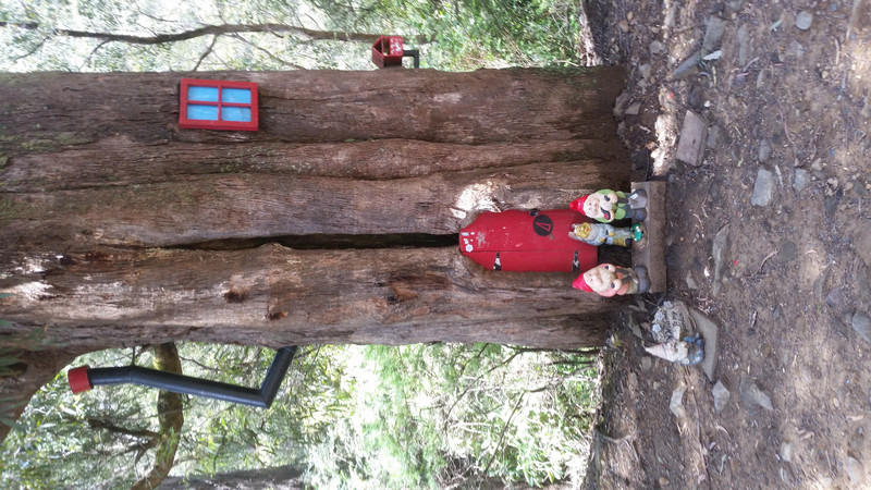 Treehouse Gnomes