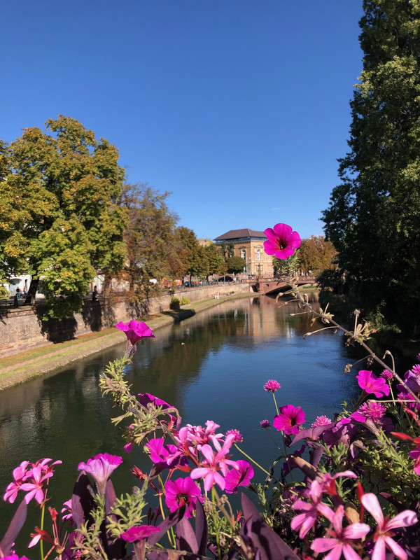 The canals of Strasbourg