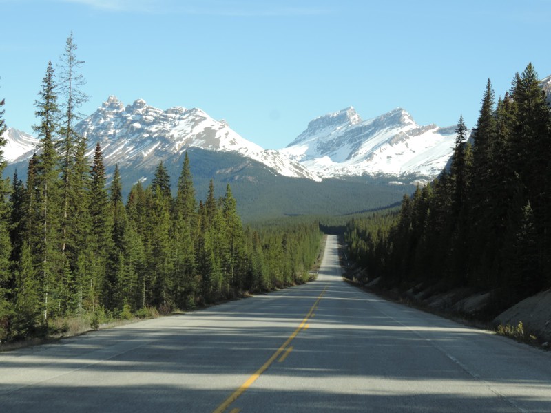 Road from Banff