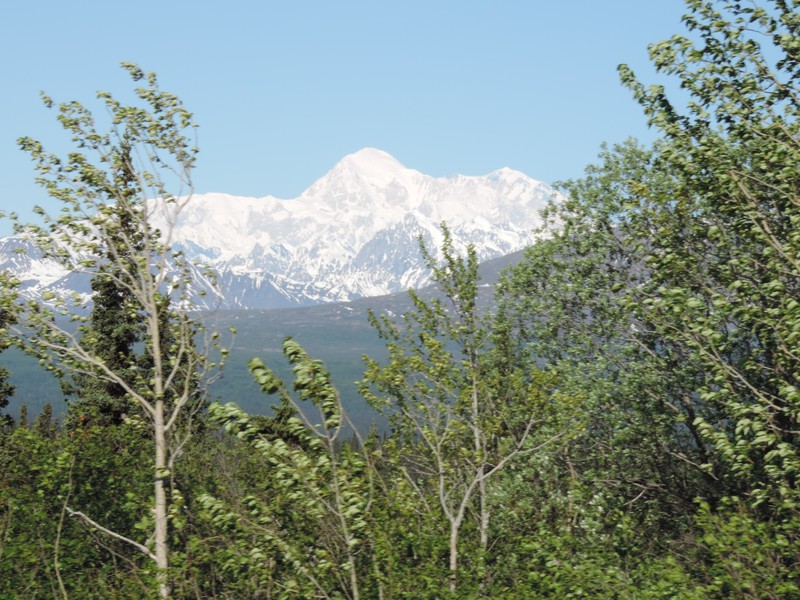 Denali from the East