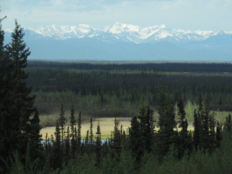 On the road to Tok, AK