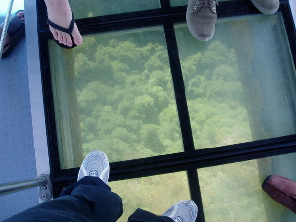 Glass bottom cable car