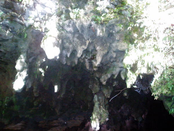 The Waitomo caves