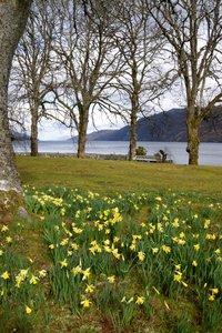 Spring at Loch Ness