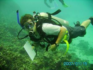 coral survey dive