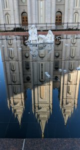 The Reflected Temple