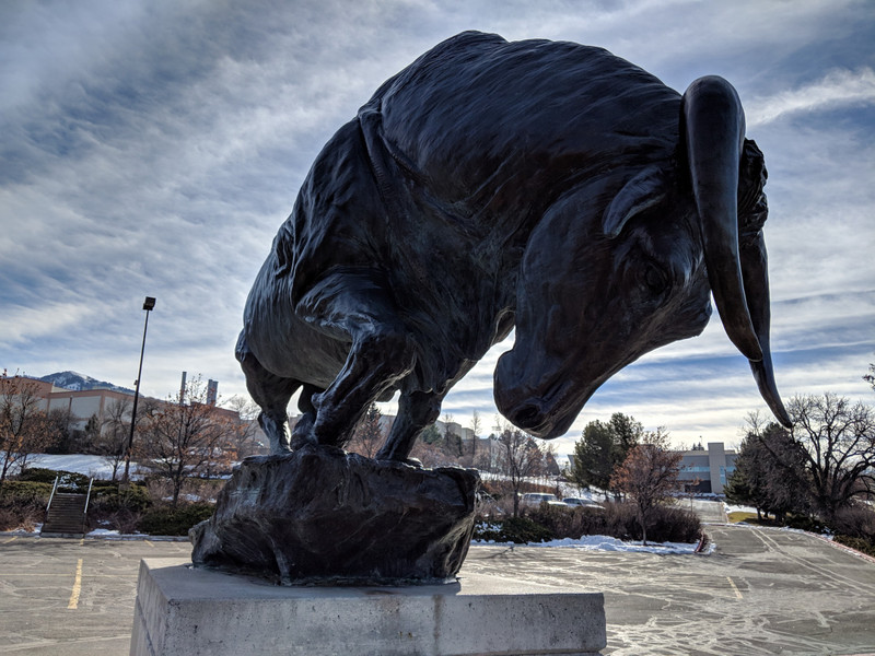 The bull near the USU stadium