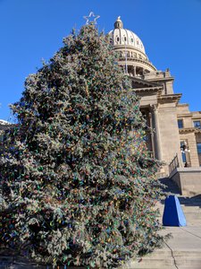 Big Christmas tree in front of the Idaho state capitol