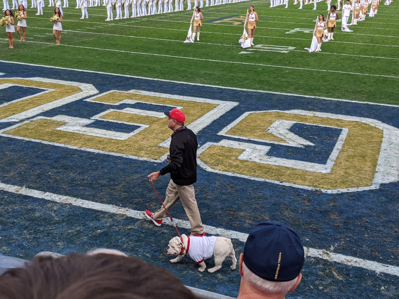 It's typical for Uga to take a stroll before the game