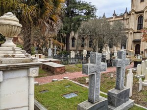 Palmettos watch over the cemetery at Trinity Episcopal Cathedral in Columbia, SC