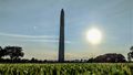 Sun's getting low on the National Mall