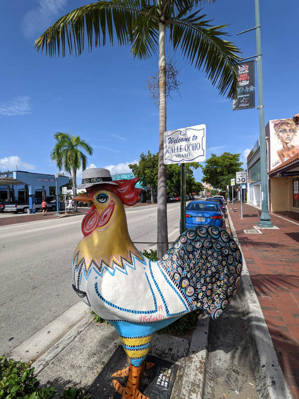 First rooster on Calle Ocho