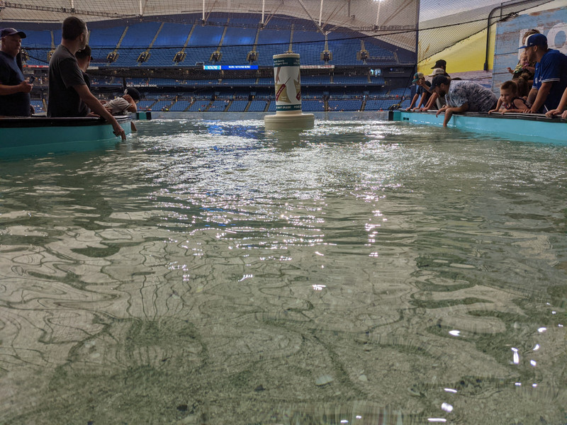 Water level in the Ray Tank