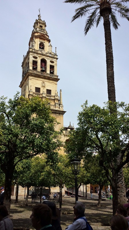 The Tower of the Cathedral