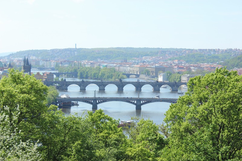 The Bridges of Prague, from the Metronome