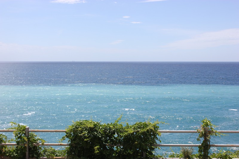 View of the sea from the Corniglia train station