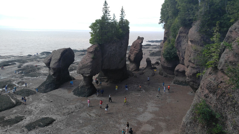 First view of Hopewell Rocks at the top of the stairs