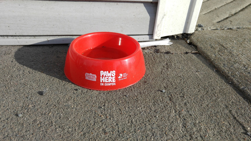 Pet-friendly street in Halifax has these doggie bowls with water at various intervals
