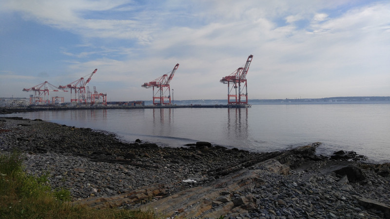 Typical sight in Halifax waterways