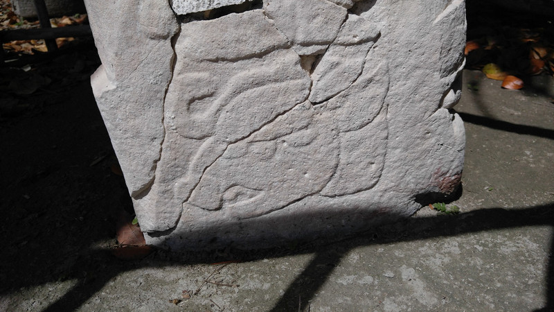 Peccary glyph at Tikal