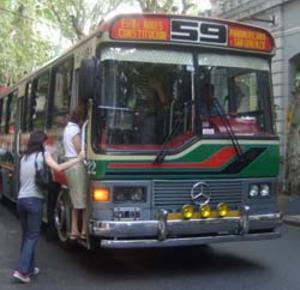 Bus 59