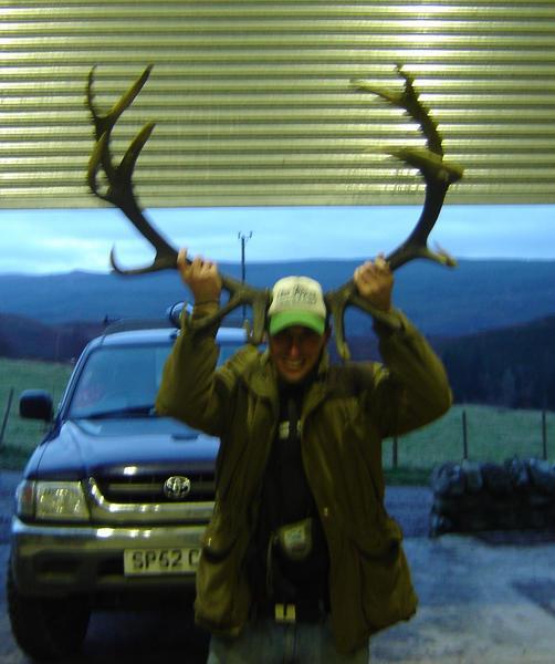 big stag!