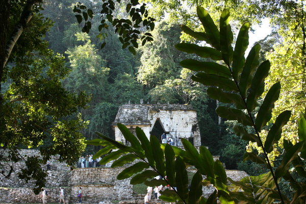 temple through jungle