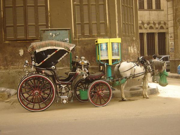 Horse n carriage!