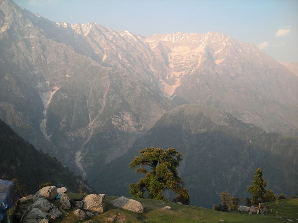 The view from Triund