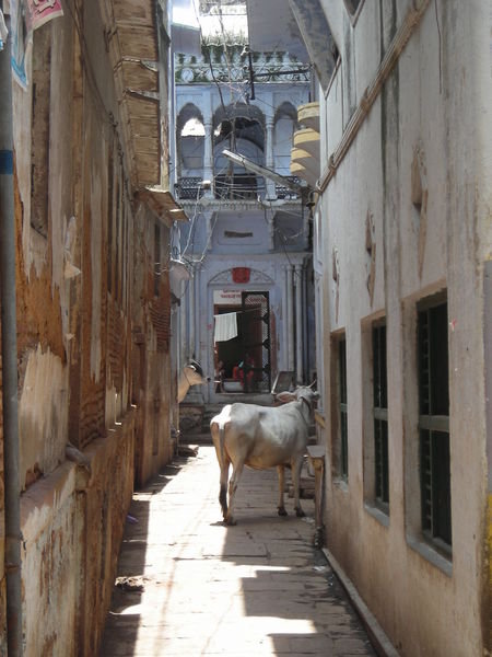 Back street in Varanasi