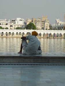 Contemplating the Golden temple