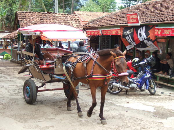 Horse car