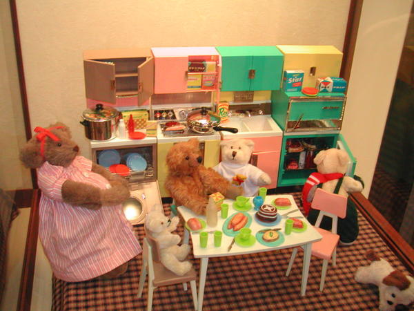 Teddy's kitchen