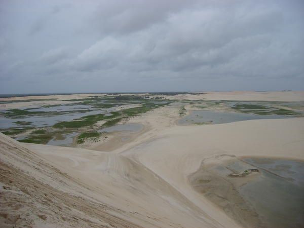 dune2