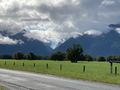 Fox Glacier