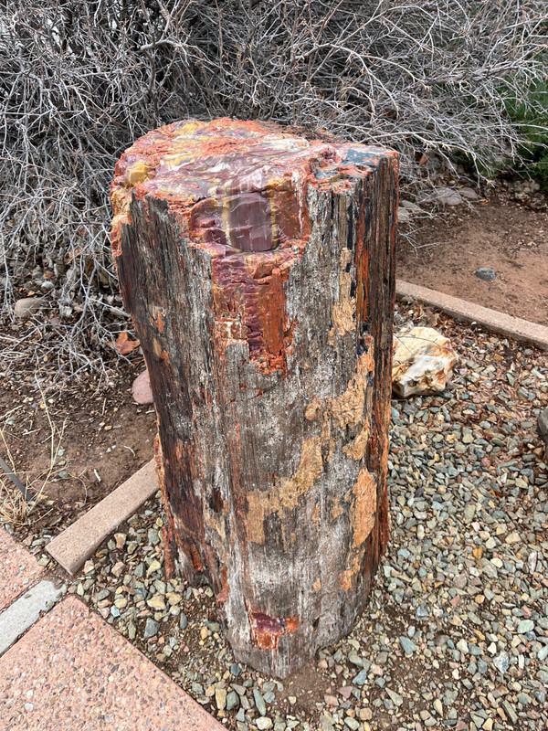Petrified wood at the visitor centre for Petrified Forest